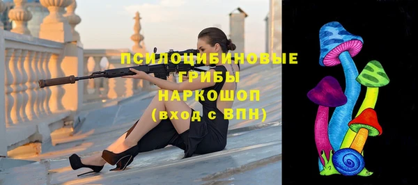 PSILOCYBIN Каменногорск