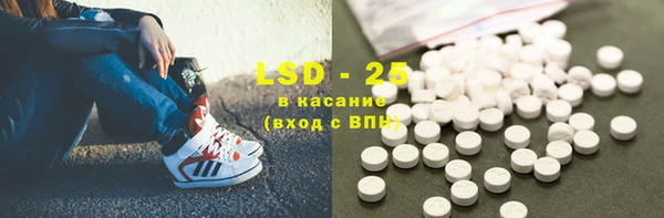 PSILOCYBIN Каменногорск
