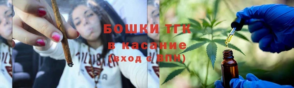 PSILOCYBIN Каменногорск