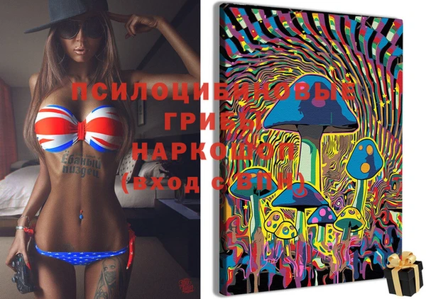 марки lsd Каменка