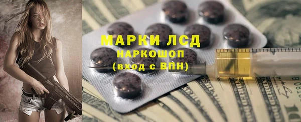 PSILOCYBIN Каменногорск
