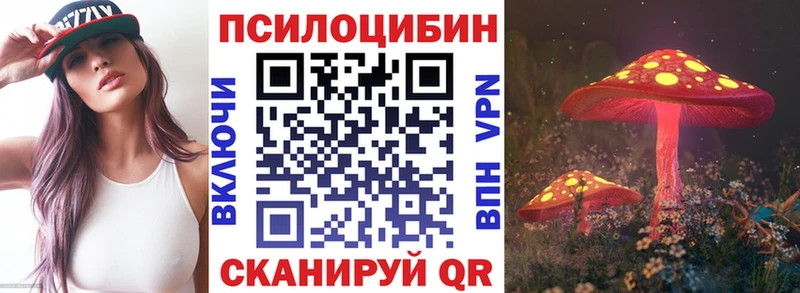Галлюциногенные грибы мицелий  Купить  Заинск 