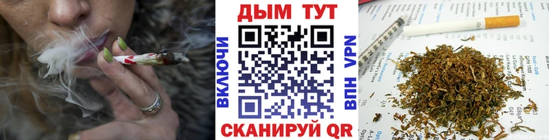 Шишки марихуана VHQ  Купить где  Заинск 